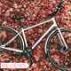 How a Bike With Infinite Gears Changed The Way I Commute